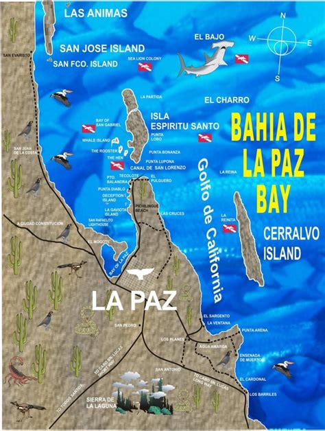 Map Of Southern Baja Mexico :: Triptutor - La Paz Baja California Map ...