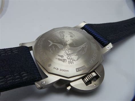 VSF PAM985 | Page 2 | Replica Watch Info