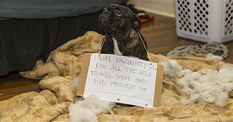 Beebs Shaming Imgur