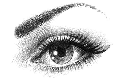 Draw Realistic Eye Cheat Sheet - Drawing Made Easy