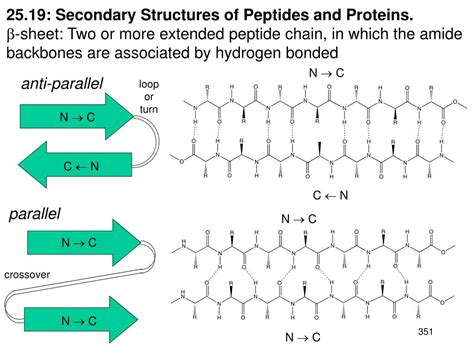 Ppt Chapter 25 Amino Acids Peptides And Proteins Monomer Unit Amino Acids Biopolymer