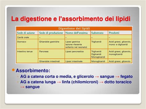 Ppt I Lipidi Powerpoint Presentation Free Download Id 4921175