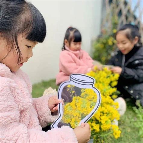 每周一图 箬横：春日“话”春景幼儿陈巧巧陈银芝