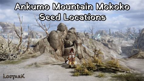 Ankumo Mountain Mokoko Seed Locations In Lost Ark