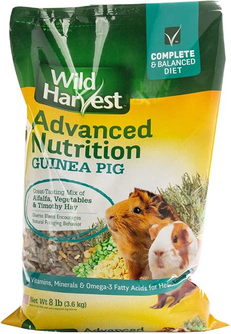5 Best Guinea Pig Foods In 2021 Get Petbox