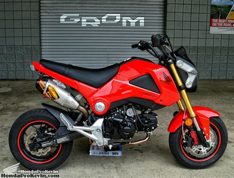 Custom 2024 Honda Grom - Kalie Marilin