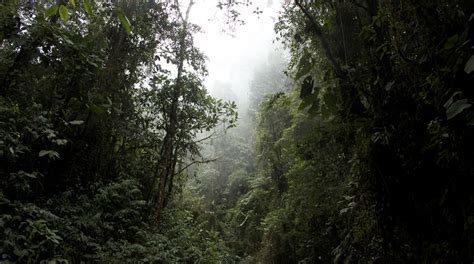 Medidas de prevención para el ecoturismo no responsable en el Parque