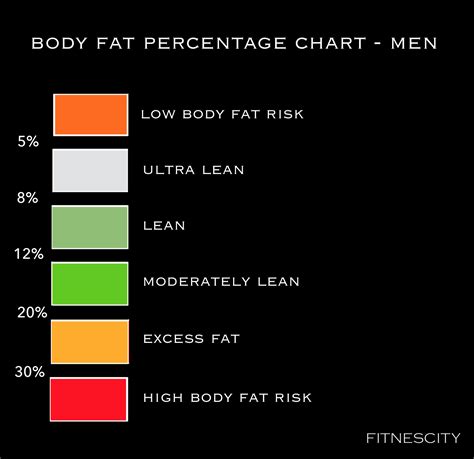 The Most Accurate Body Fat Tests DEXA Scan Near Me VO2 Max Near Me