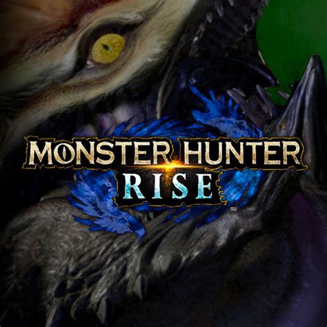 Download Video Game Monster Hunter Rise Pfp