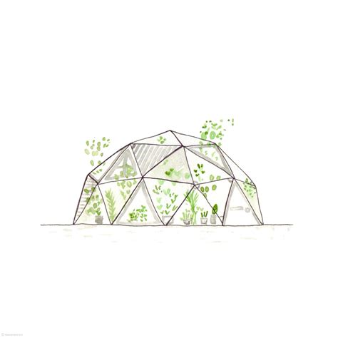 Dome Drawing