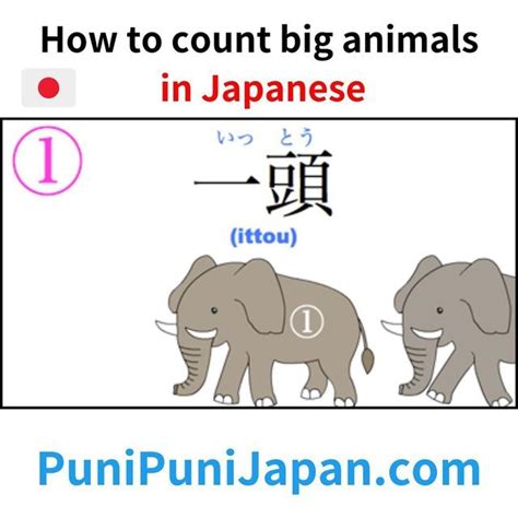 Puni Puni Japanjapanese Teacher On Instagram How To Count In