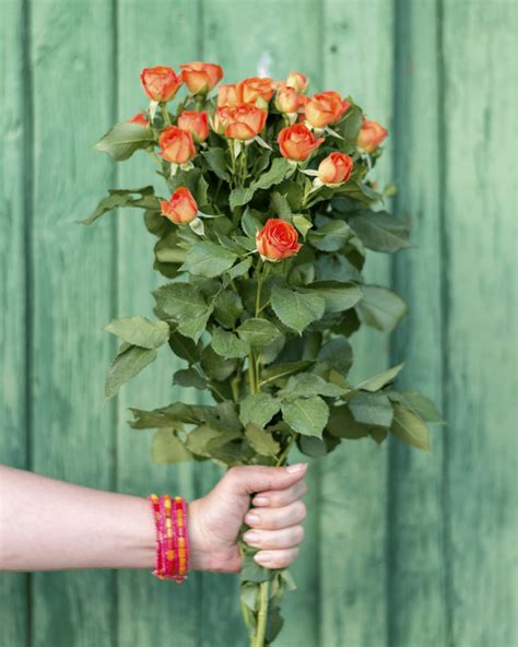 What Is The History And Meaning Of Orange Roses