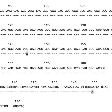 A The Nucleotide Sequence Alignment Of The Exon Sequence And Of B