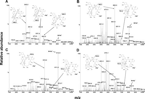 Representative Mass Spectra And Diagnostic Fragmentation Ions For