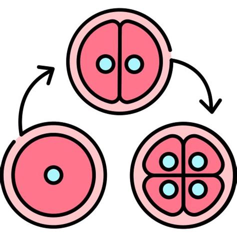 Cell Division Free Icons Designed By Backwoods Cell Division Free