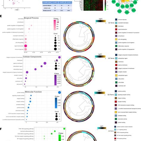 Identification And Analysis Of Inflammation Related Differentially