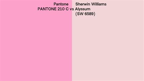 Pantone C Vs Sherwin Williams Alyssum Sw Side By Side Comparison