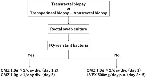 Uro Free Full Text Targeted Antimicrobial Prophylaxis With Cefmetazole Based On Presence Of