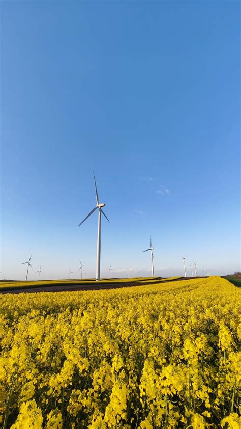 Srem Fruška Gora Rserbia