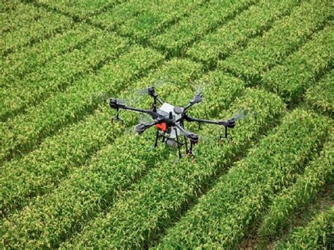 Regulamenta O Do Uso De Drones Em Atividades Agropecu Rias Colocada