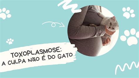 Toxoplasmose a culpa não é do gato YouTube