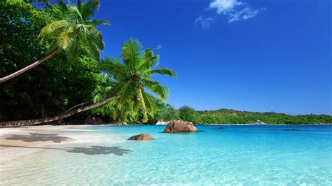 1280x1024 Resolution Two Coconut Trees Landscape Beach Palm Trees