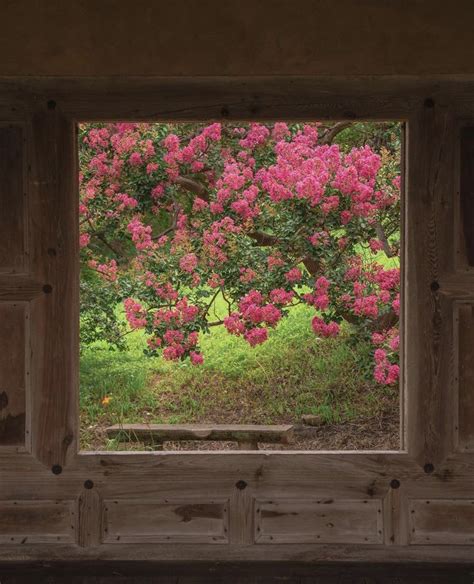 An Open Window With Pink Flowers On The Outside And Green Grass In The