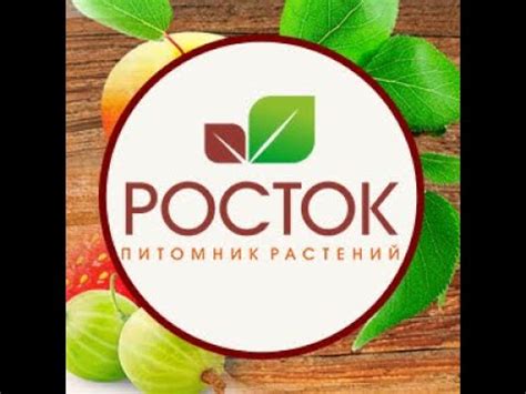 Росток питомник растений г. Челябинск - YouTube