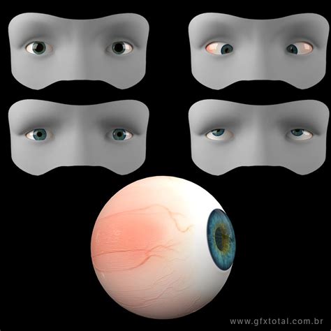 Eyes Rigging and Animation in 3ds Max | Animação, Olhos, 3ds max
