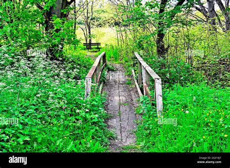 Small Bridge Over Stream Stock Photo Alamy