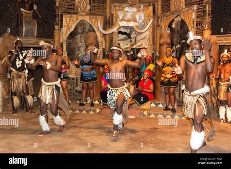 Zulu Traditional Dance At Shakaland Banque De Photographies Et Dimages