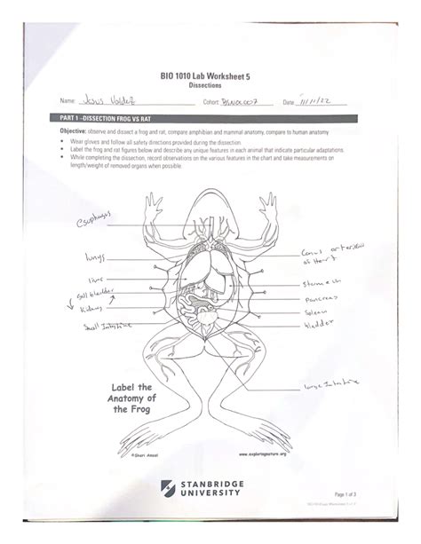 BIO 1010 Lab Worksheet 5 BIO E109 Studocu