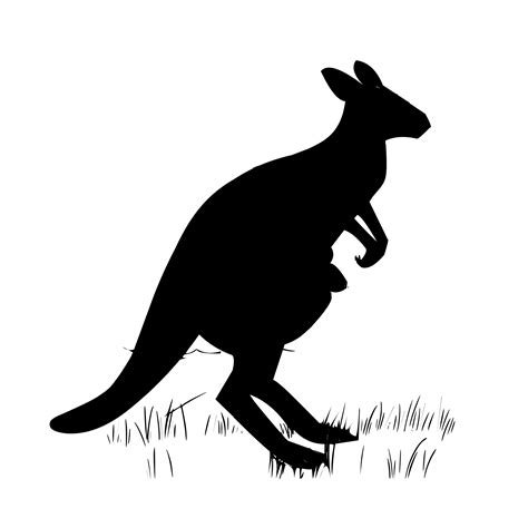 Kangaroo Black And White