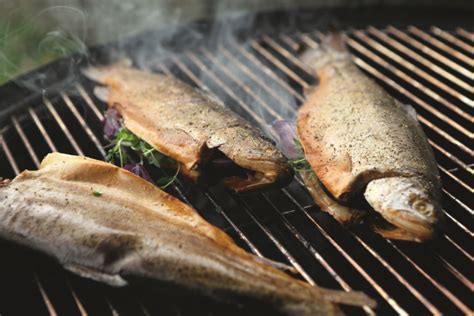 Fisch Grillen Aber Richtig 10 Tipps Wie Es Gelingt