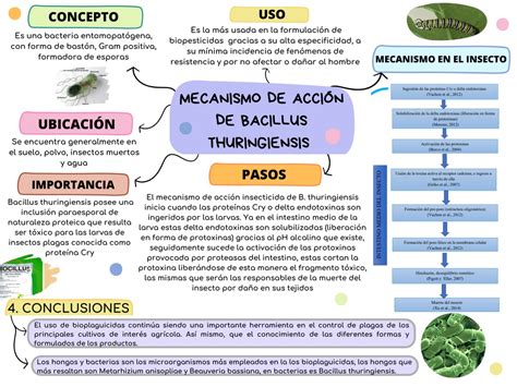 PPT BIOPLAGUICIDAS MECANISMOS DE ACCION BIOCIDA EN INSECTOS PLAGA