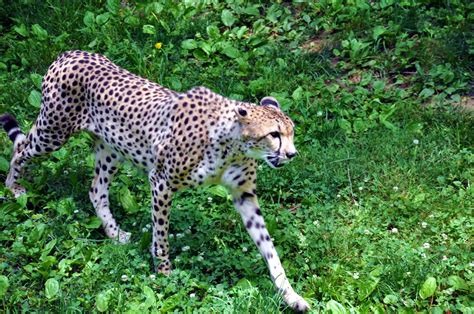 What a Zoo! - bebehblog