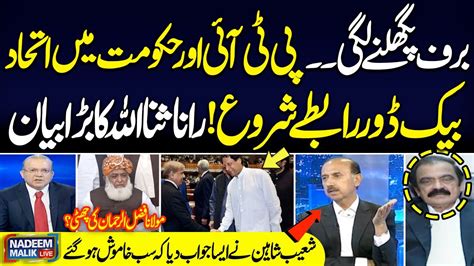 Shoaib Shaheen Gives Shocking Reply On Rana Sanaullah S Offer Nadeem