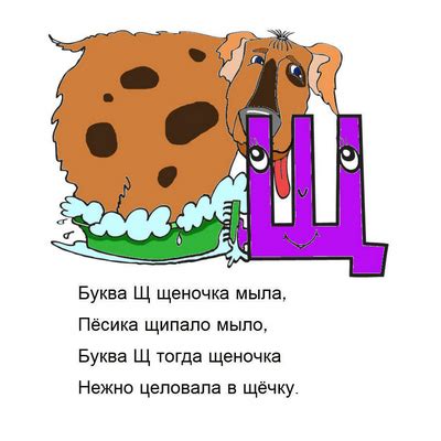 Картинки про букву Щ детям — учим русский алфавит