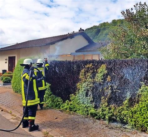 Merzig Stadtrat Spricht über Grünschnitt