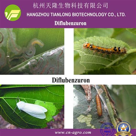 Diflubenzuron 95 Tc 25 Wp 50ec Insecticide Insect Growth Regulator Diflubezuron And