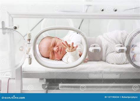 Newborn Baby In An Incubator Stock Photo Image Of Infant Portrait