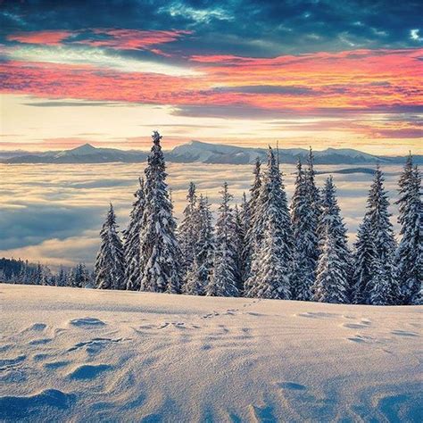 33 неймовірно красиві фотографії зими в Україні