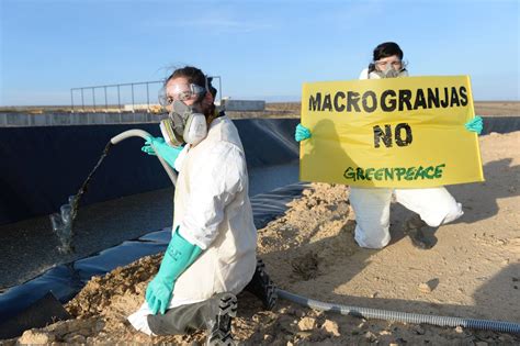 ACCIÓN Las macrogranjas envenenan el agua ES Greenpeace España