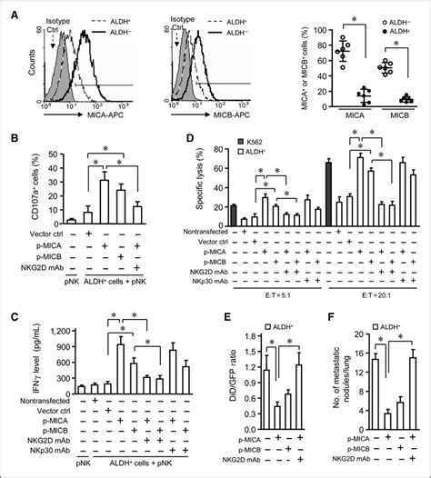 The Expressions Of Ngk D Ligands Mica And Micb On Bcscs And Their