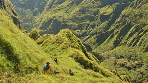 Simak Tips Hingga Rute Populer Saat Mendaki Gunung Rinjani Regional