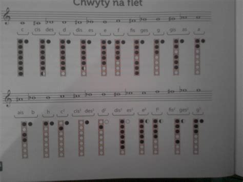 Chwyty Na Flet Proszę O Pomoc Muszę To Mieć Już Brainlypl