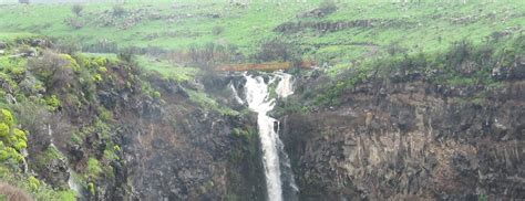 Yahudiya Nature Reserve – Gamla - Israel Nature and Parks Authority