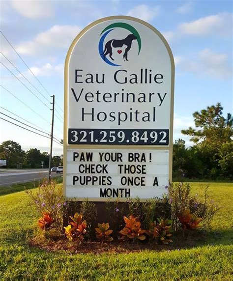 10+ Genius Vet Signs That Will Make You Laugh