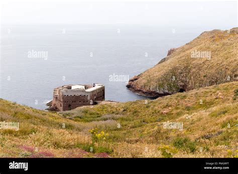 Berlengas Islands, Portugal - May 21, 2018: Forte de Sao Joao Baptista Stock Photo - Alamy