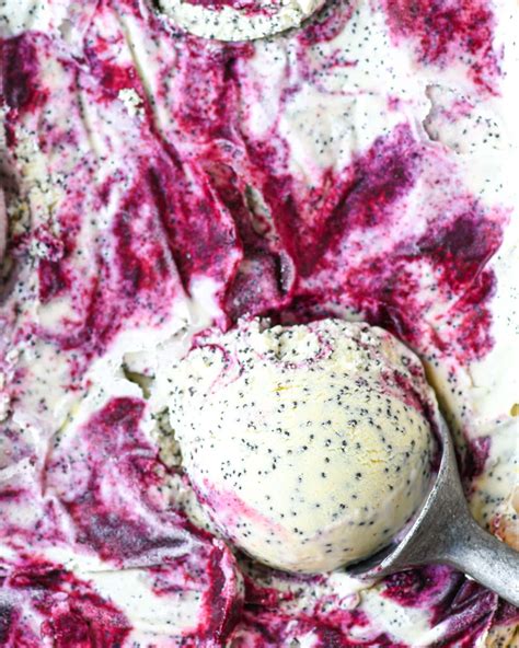 Lemon Poppyseed Gelato With Blueberry Ripple Buttermilk By Sam